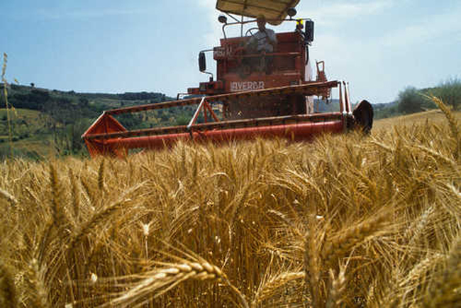 Agricoltura: con la nuova PAC, 749 milioni alla Toscana per lo sviluppo rurale