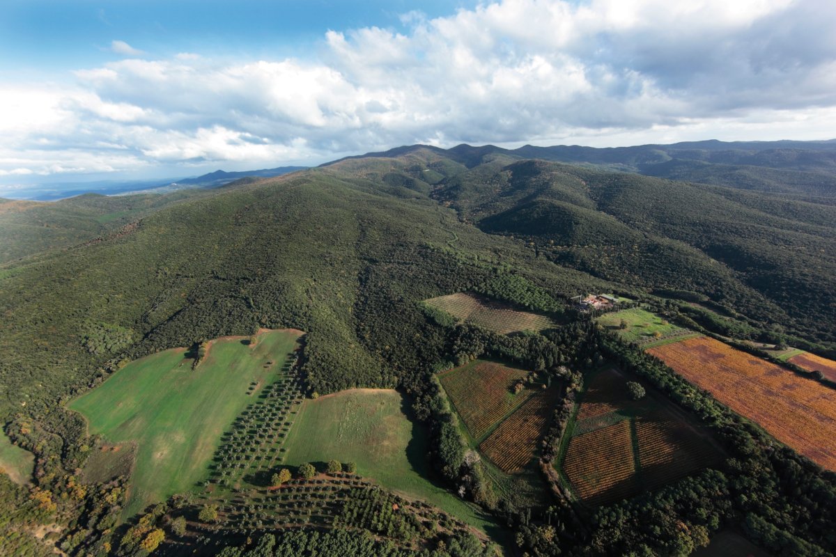 COLLE VAL D’ELSA PRESENTA IL SUO NUOVO PROGETTO