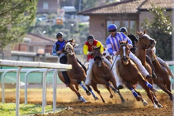 Corse Di Addestramento: Monticiano 02 Aprile 2023