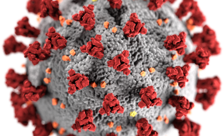 Toscana: Coronavirus: 180 nuovi casi, due decessi