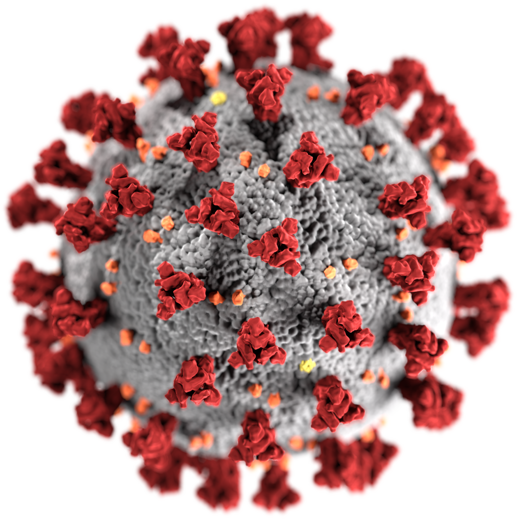 Coronavirus 2.009 casi nuovi casi. Cinque i decessi