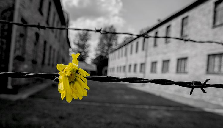 Per non dimenticare nel Giorno della Memoria, gli eventi a Siena