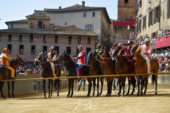 Palio: tutte le monte ufficiali dopo la segnatura