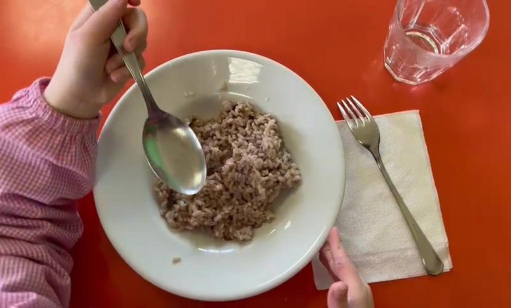 Green food week, oggi cibo a basso impatto ambientale nelle mense scolastiche della provincia di Siena e all’università