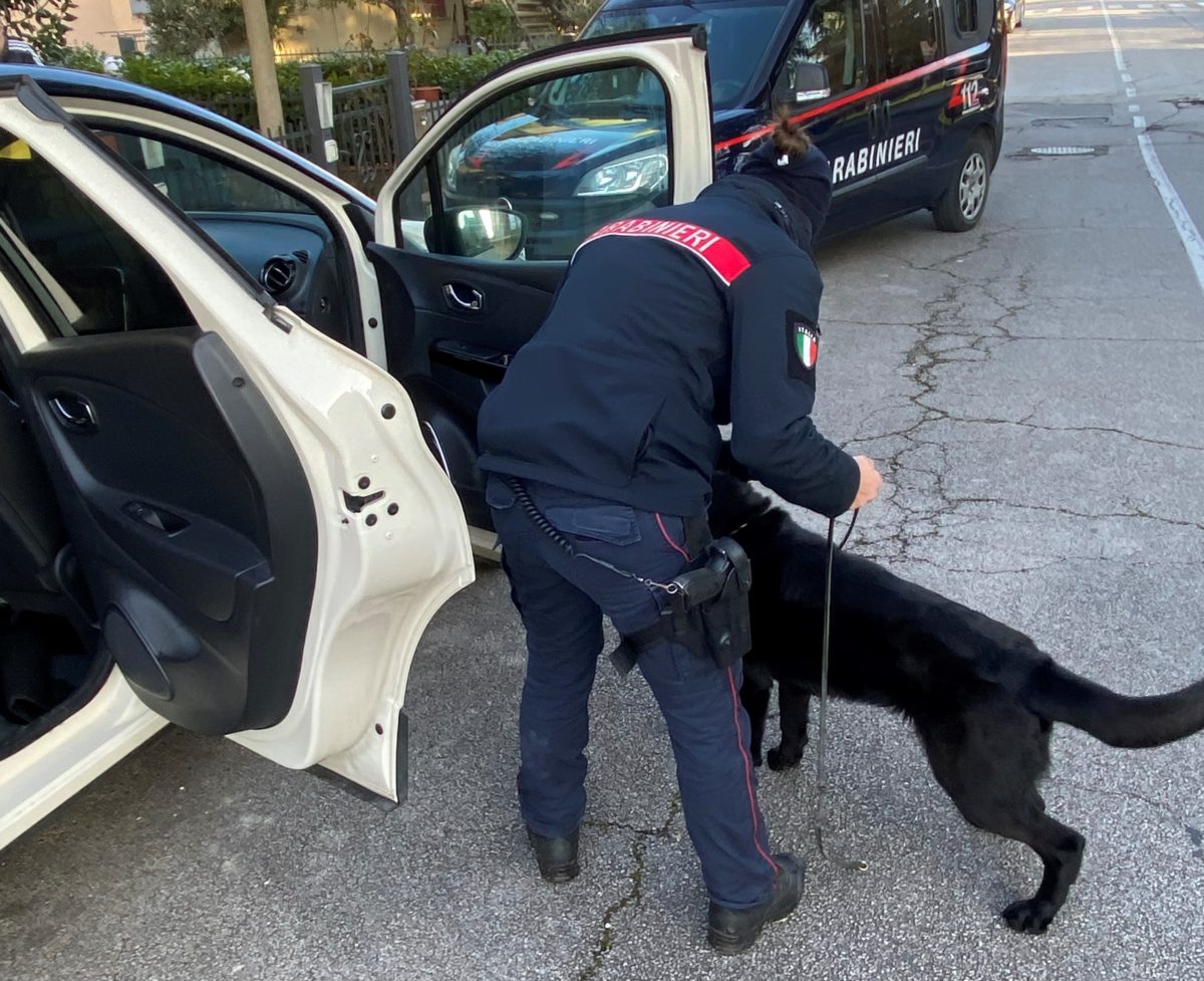 Droga, operazione dei carabinieri: stroncato giro di spaccio tra Siena e Arezzo, tre arrestati