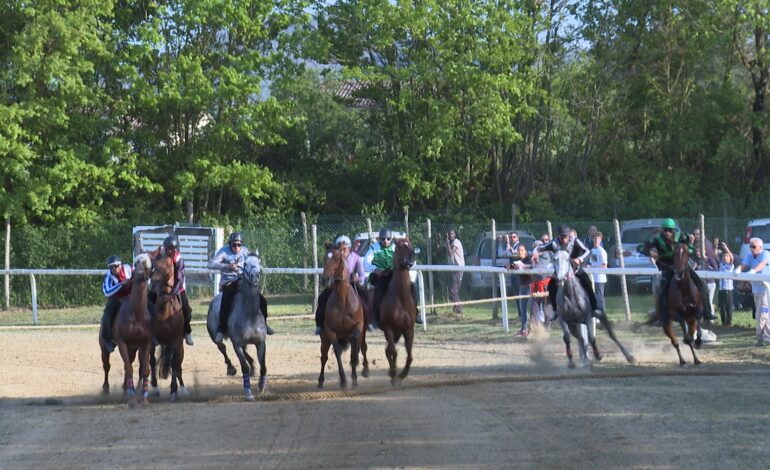 Palio, rinviato al 23 maggio le corse d’addestramento a Monticiano