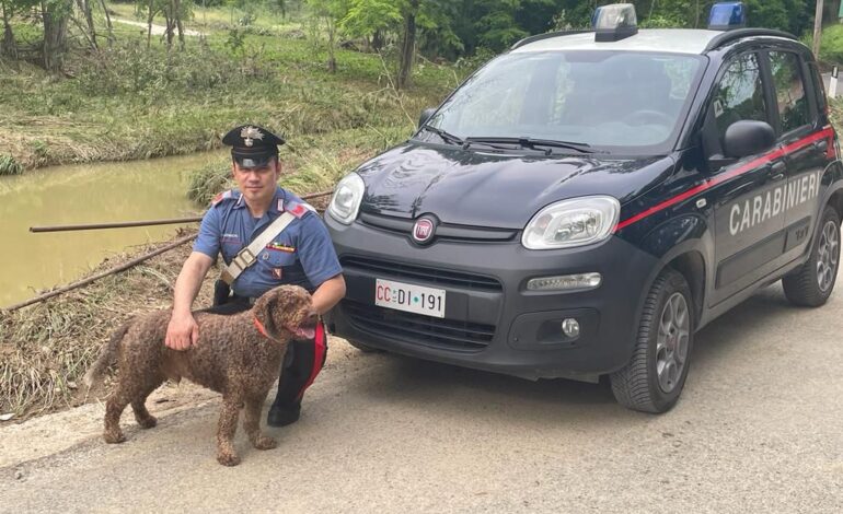 Poggibonsi: carabinieri salvano un uomo e il suo cane travolti dal fiume in piena