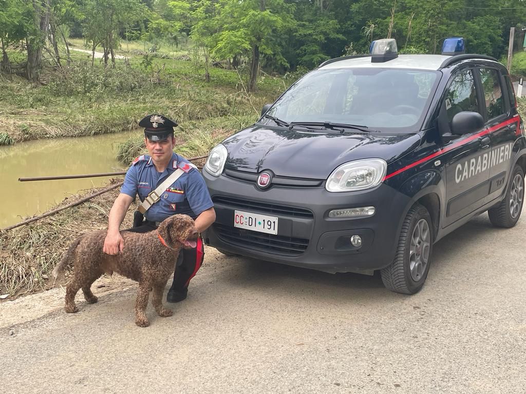 Poggibonsi: carabinieri salvano un uomo e il suo cane travolti dal fiume in piena