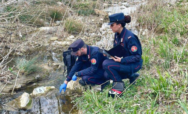 Gestione illecita di rifiuti liquidi, due denunciati dai carabinieri forestali