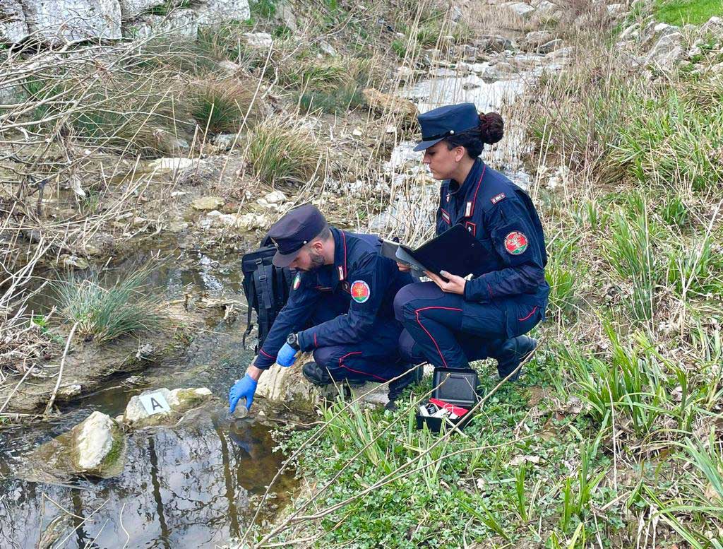 Gestione illecita di rifiuti liquidi, due denunciati dai carabinieri forestali