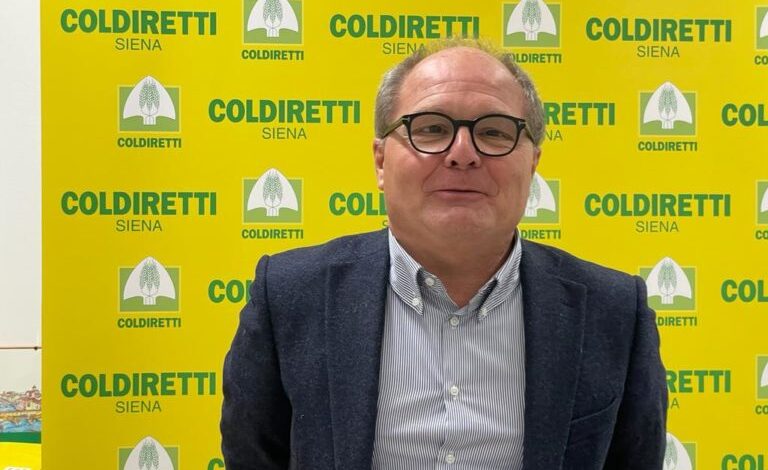 I single spendono più di una famiglia per gli alimenti. Coldiretti Siena: “Chi vive solo è tendente ai cibi processati più costosi”