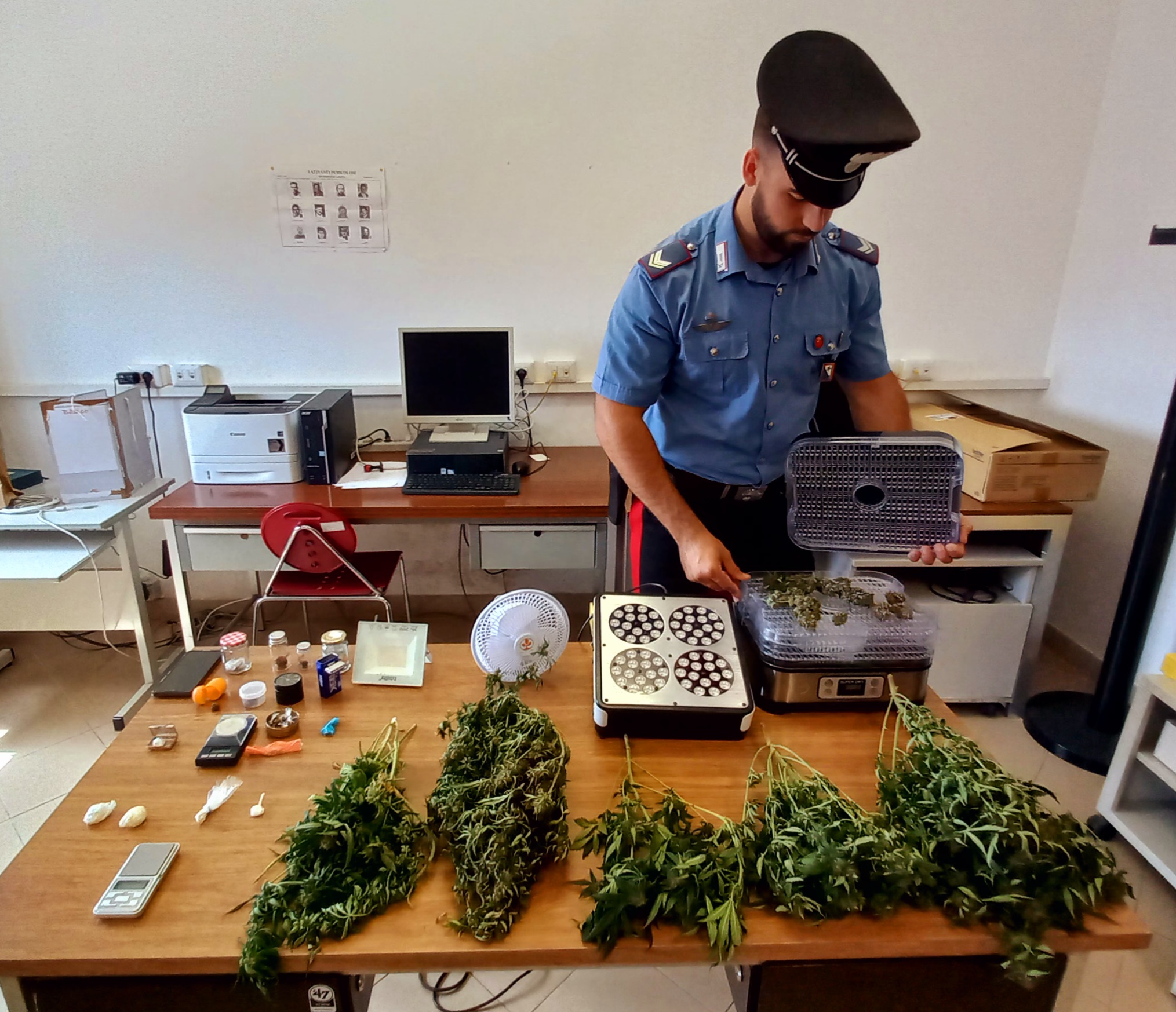 Beccati con la droga ed una serra di marijuana in casa: denunciati