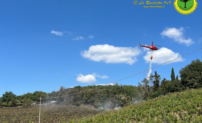 Incendio vicino a Rapolano Terme, in fiamme una vigna ed un bosco