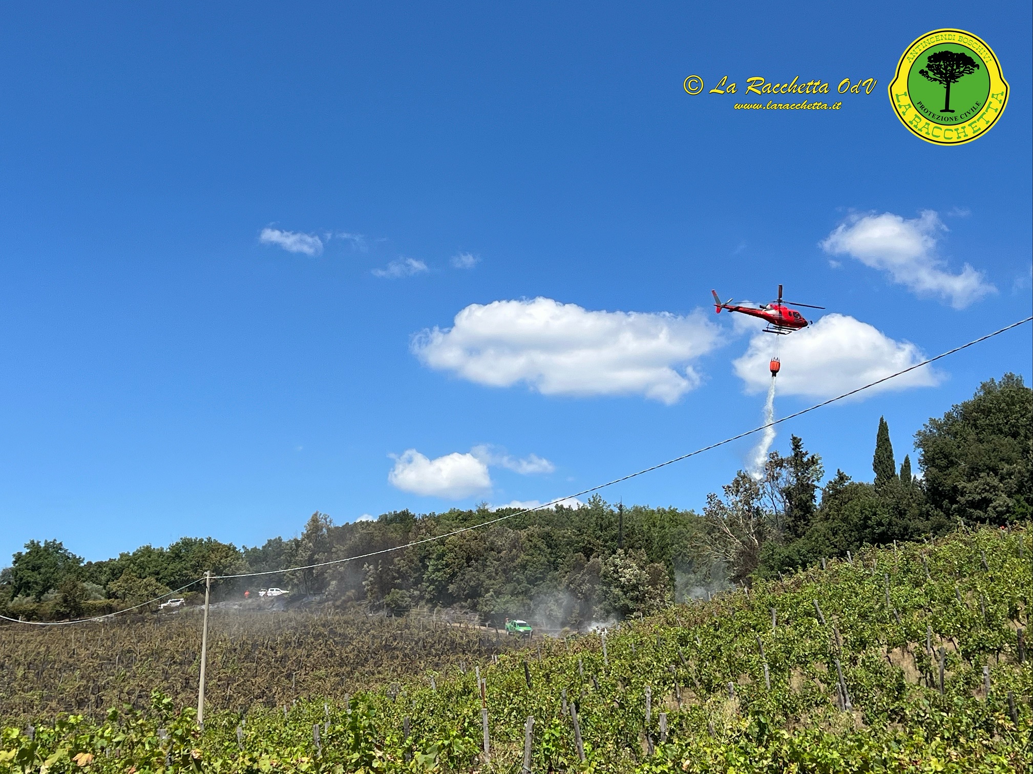 Incendio vicino a Rapolano Terme, in fiamme una vigna ed un bosco