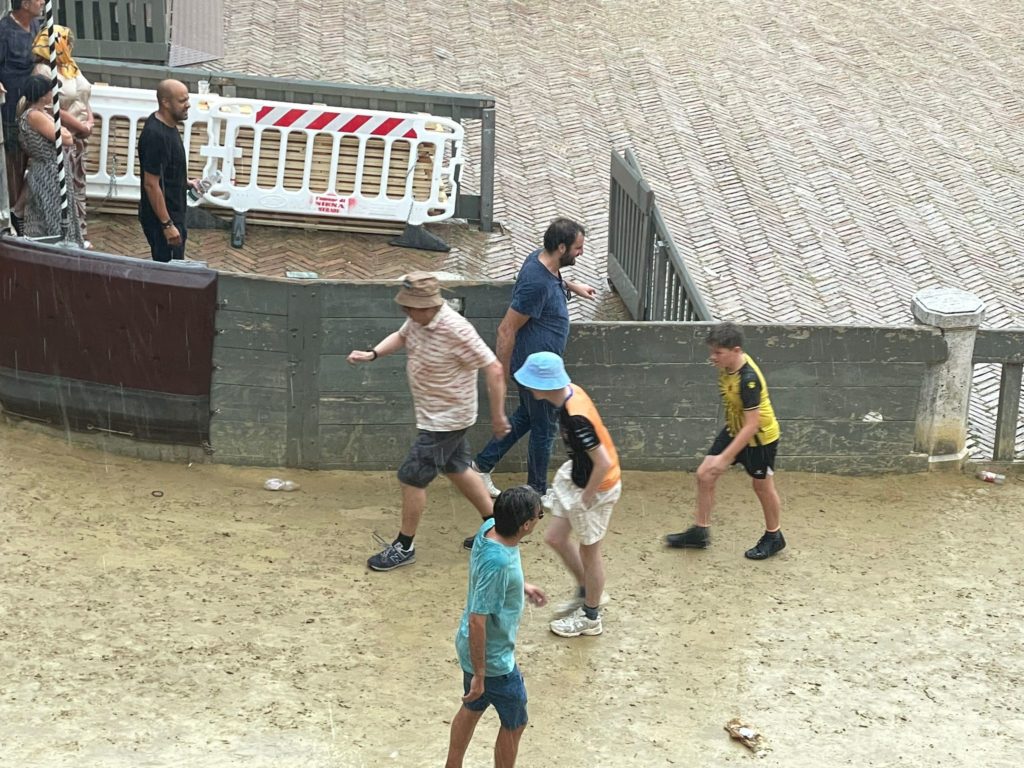 Maltempo, a Siena messi in sicurezza alberi e piante pericolanti