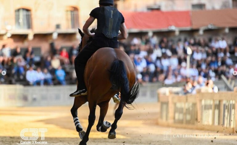 Palio, 35 cavalli ammessi alla Tratta, ecco la lista