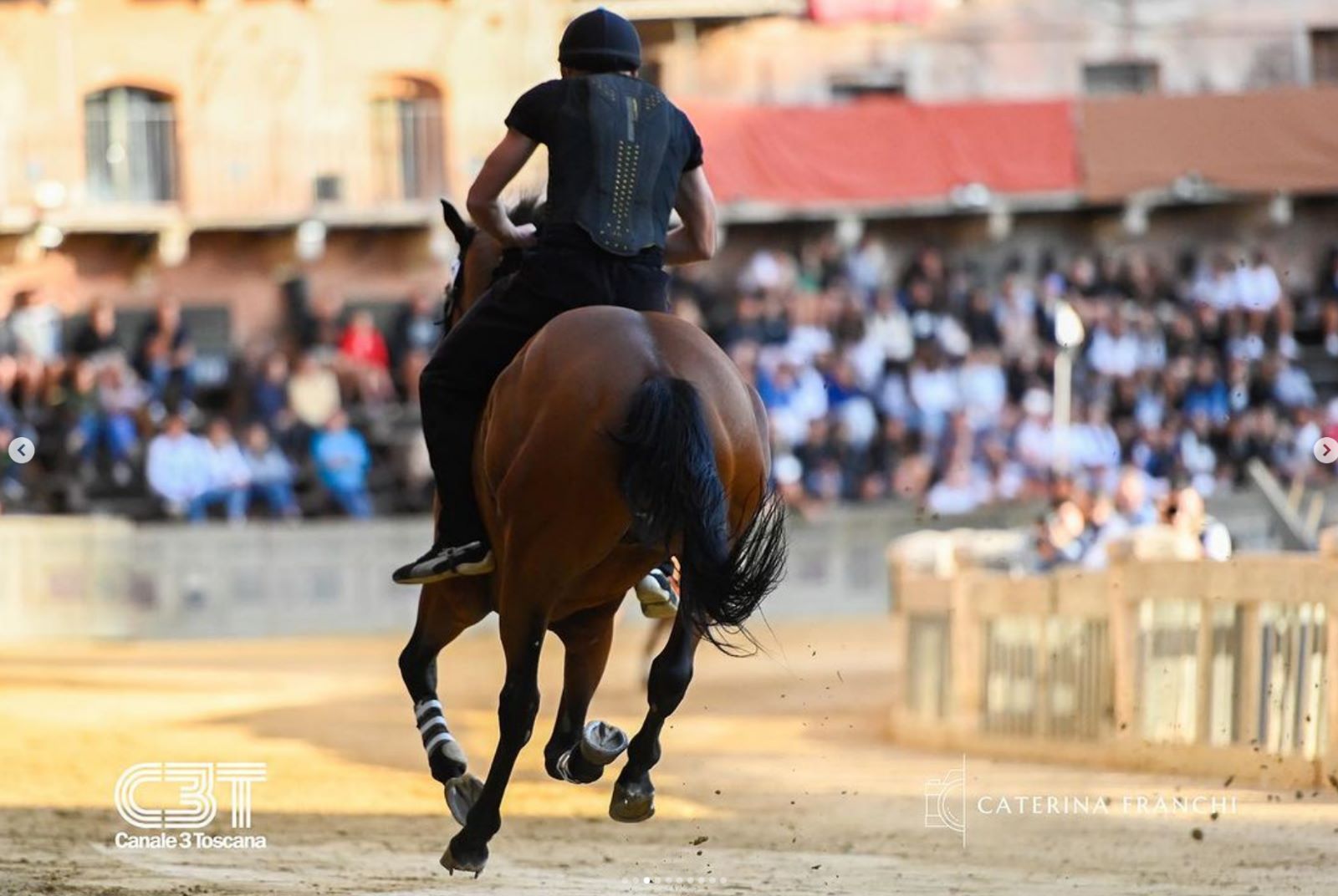 Palio, 35 cavalli ammessi alla Tratta, ecco la lista