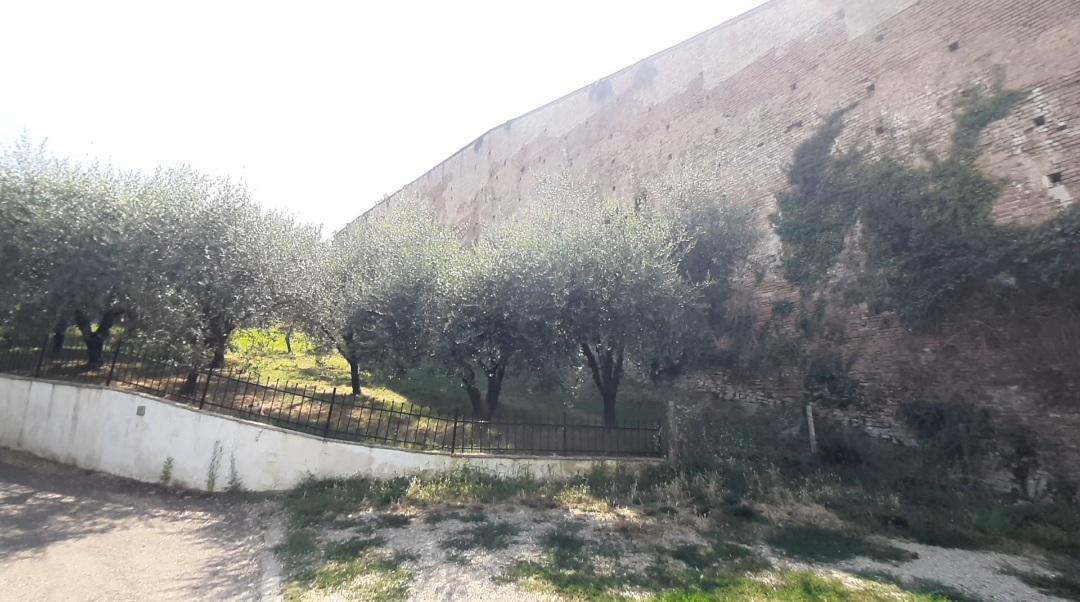 Al via il restauro delle mura tra Porta Pispini e Porta Romana