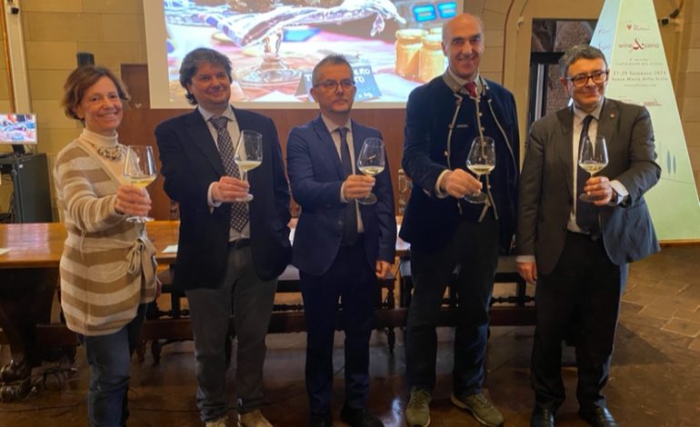 Tutto pronto per la nona edizione di Wine&Siena. Tra le novità, la presenza dell’università di Siena