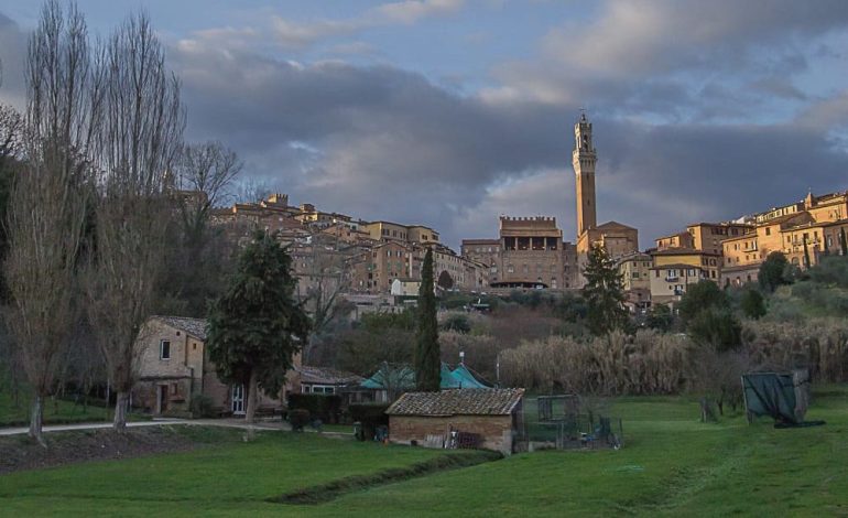 Verde urbano, via libera al progetto da quattro milioni di euro per la manutenzione