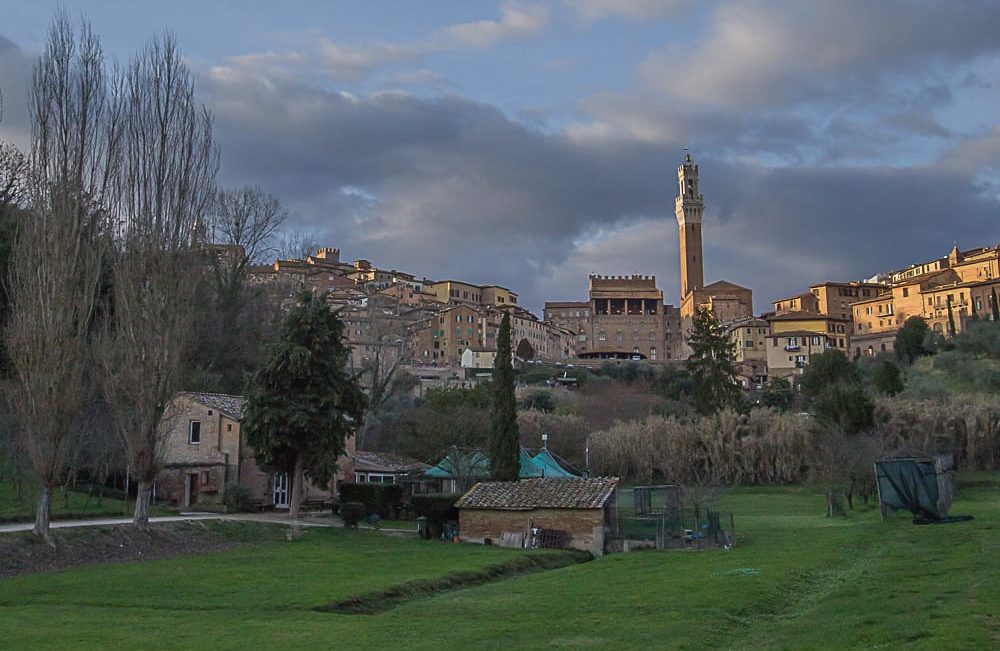 Verde urbano, via libera al progetto da quattro milioni di euro per la manutenzione