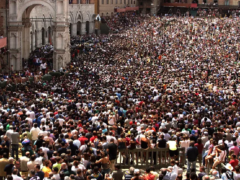 Palio 2 luglio 2024, l’elenco dei cavalli ammessi alla Tratta. Le decisioni della Commissione veterinaria comunale