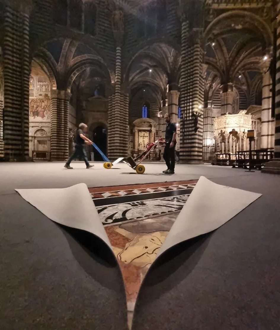 Scoperto il pavimento a commesso marmoreo della Cattedrale di Siena