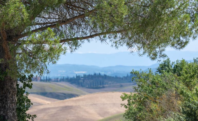 Da Nibali a Ballan e Oss: a Buonconvento torna Nova Eroica con i grandi campioni del ciclismo