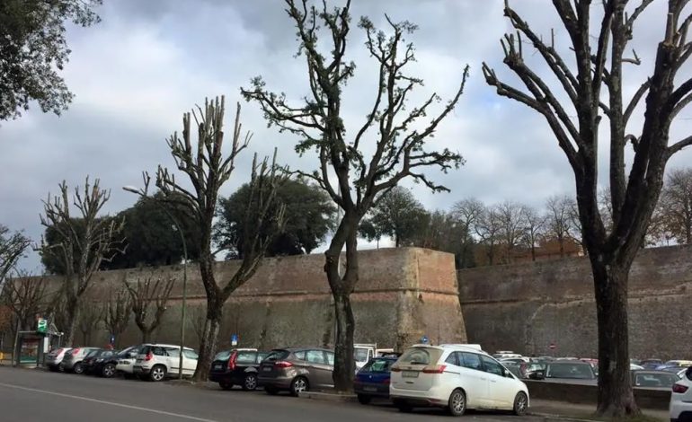 Turismo sostenibile, al via la sperimentazione di navette per il centro di Siena  