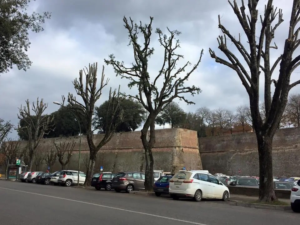 Turismo sostenibile, al via la sperimentazione di navette per il centro di Siena  