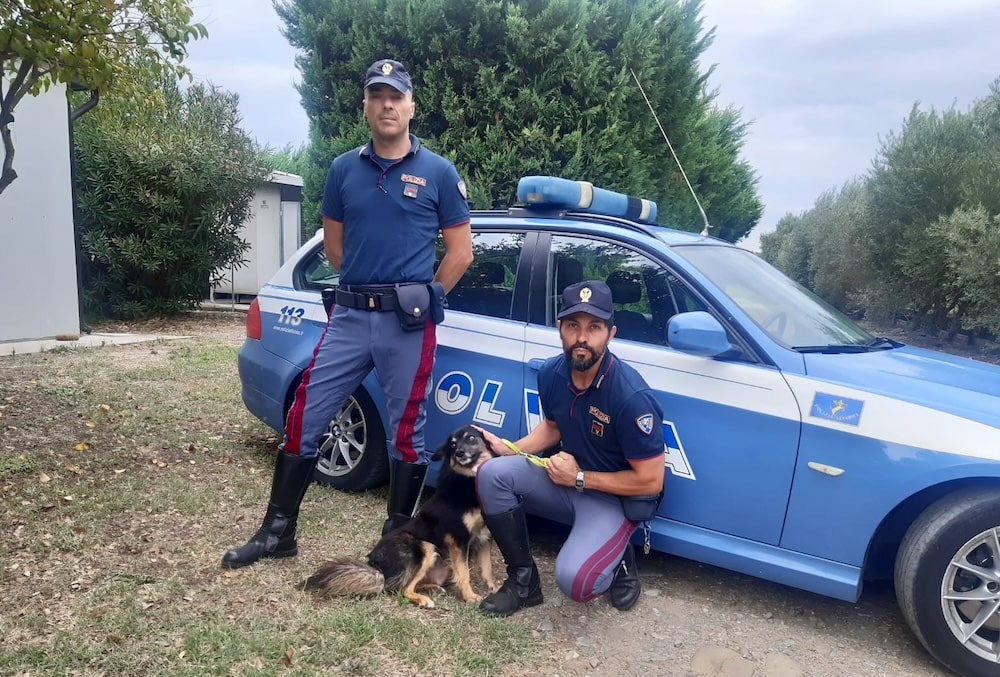 “Se non ti porto non parto”: lo spot della Polizia contro l’abbandono degli animali