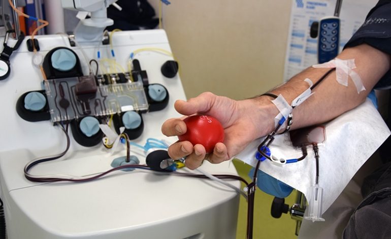 Alle Scotte torna la “Plasma week”: dal 22 al 27 luglio l’iniziativa per incentivare la donazione di sangue ed emoderivati nel periodo estivo