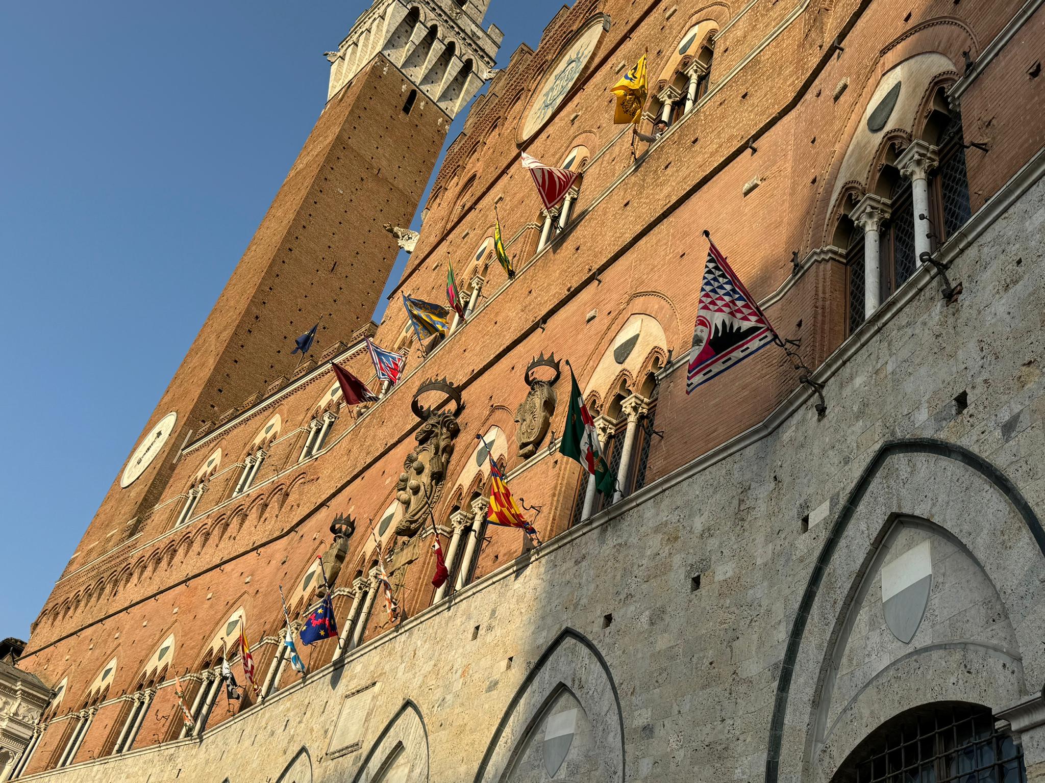 Palio 16 agosto 2024: estratte Chiocciola, Oca e Istrice