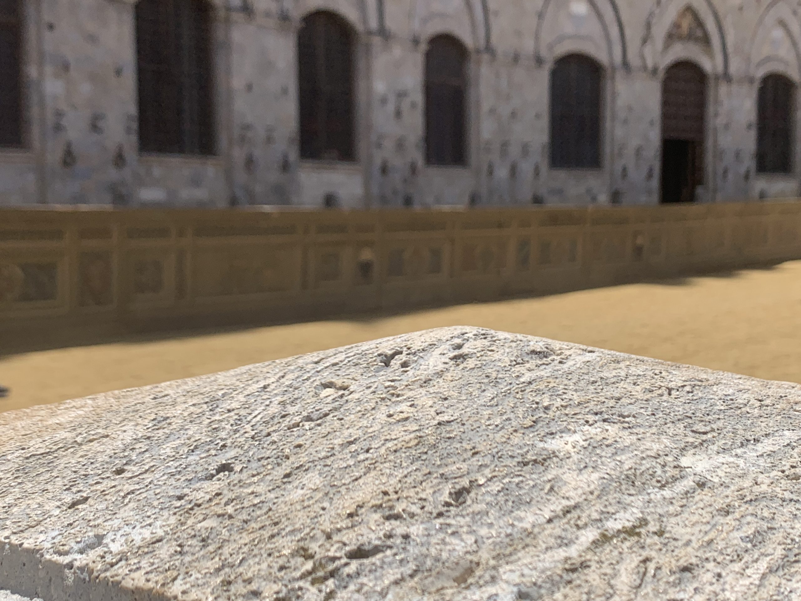 Palio dell’Assunta, il 7 luglio il sorteggio. Il quadro della situazione