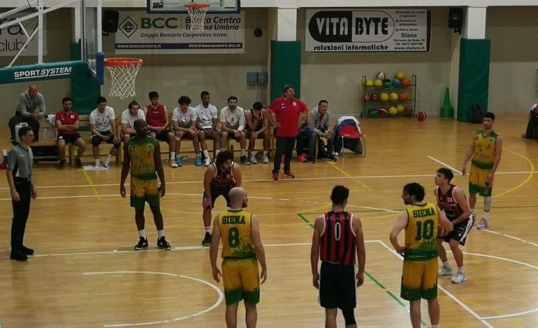 Basket, ecco i calendari. Costone-Virtus è il primo derby senese della stagione