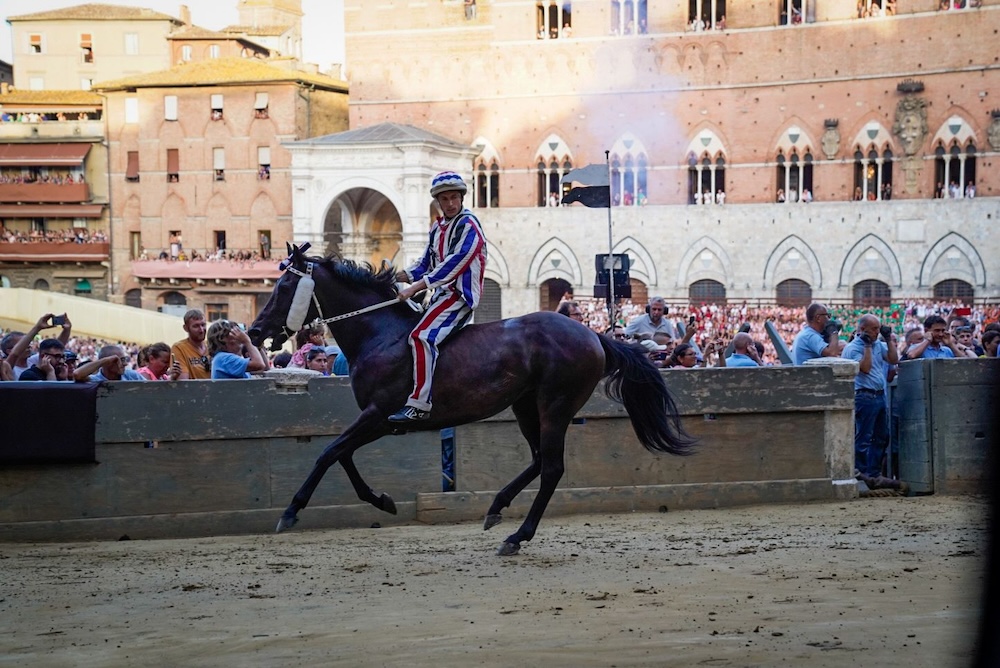 Palio, l’Istrice vince una terza prova che offre diversi spunti