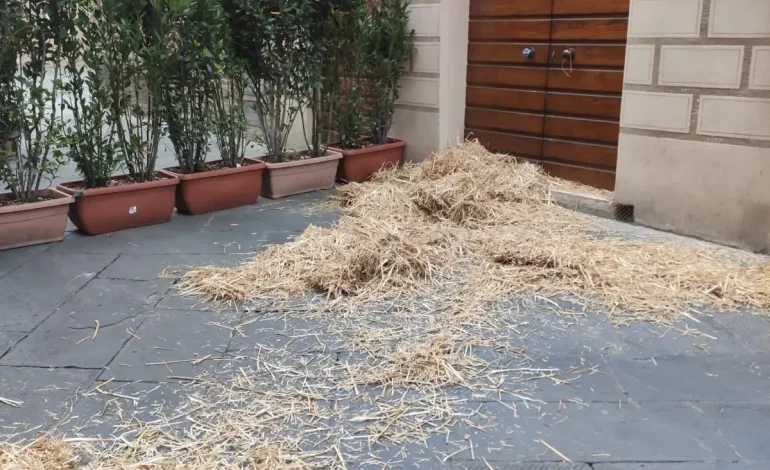 Contrada della Torre oggetto di atti vandalici in un momento di profondo dolore.