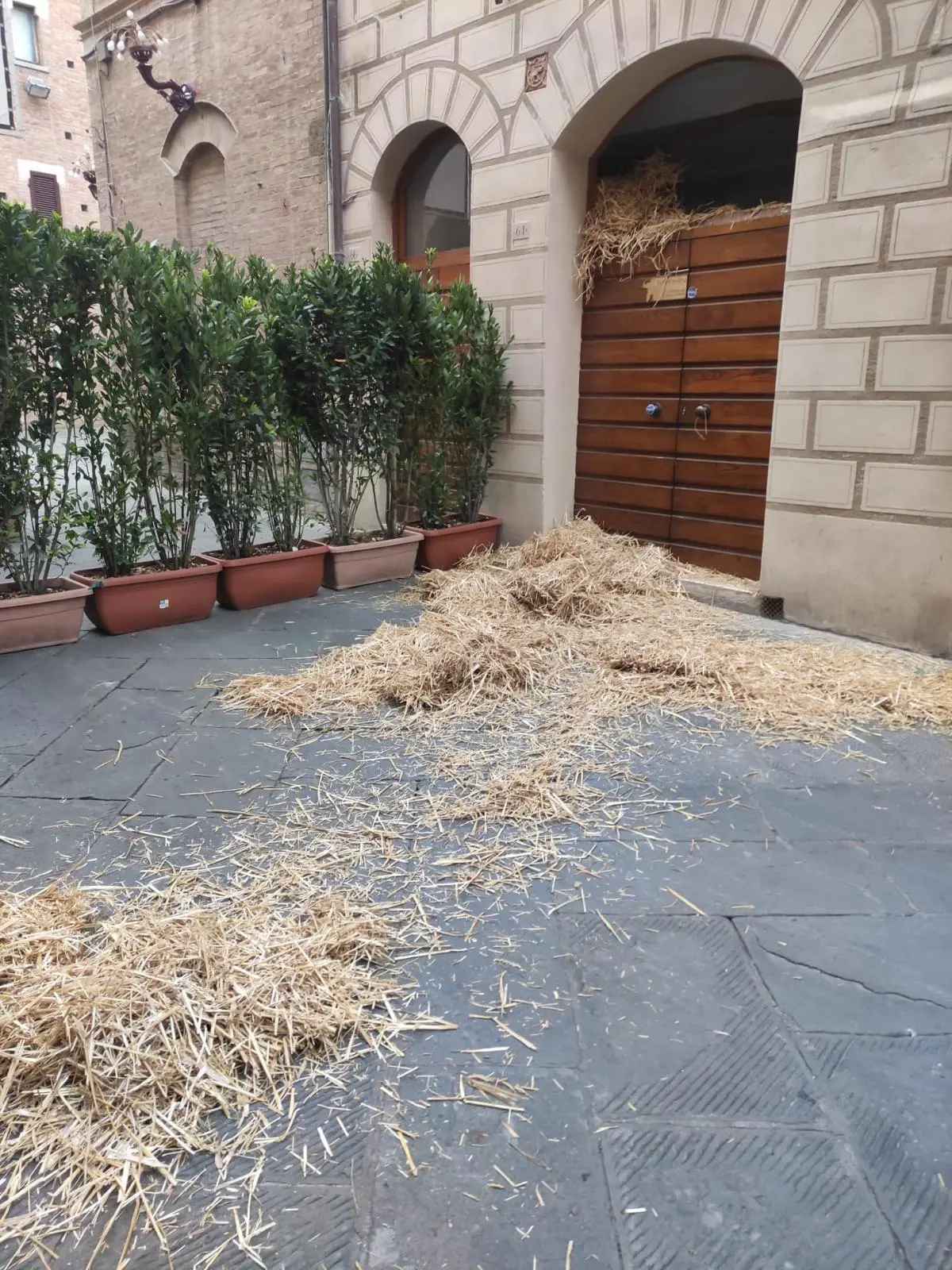 Contrada della Torre oggetto di atti vandalici in un momento di profondo dolore.