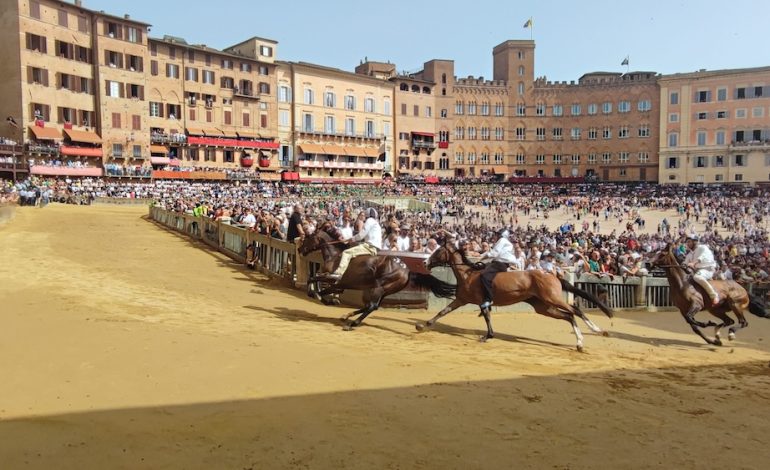 Protocollo equino, ecco l’elenco dei contributi 2024