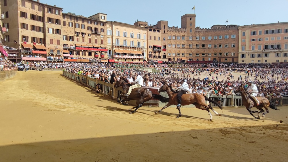 Protocollo equino, ecco l’elenco dei contributi 2024