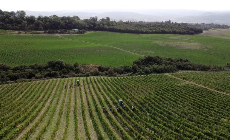 Codice della strada, arriva una proposta concreta da Cinelli Colombini: “Driver discount per chi guida dopo una visita in cantina”