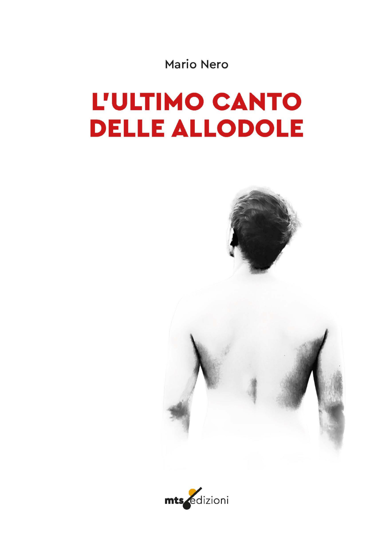 “L’ultimo canto delle allodole” opera prima del giovane scrittore Mario Nero