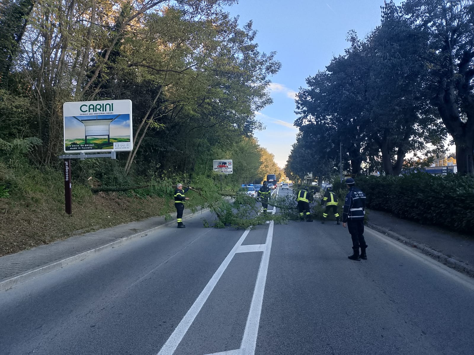 Albero cade in Viale Toselli, intervento dei Vigili del Fuoco