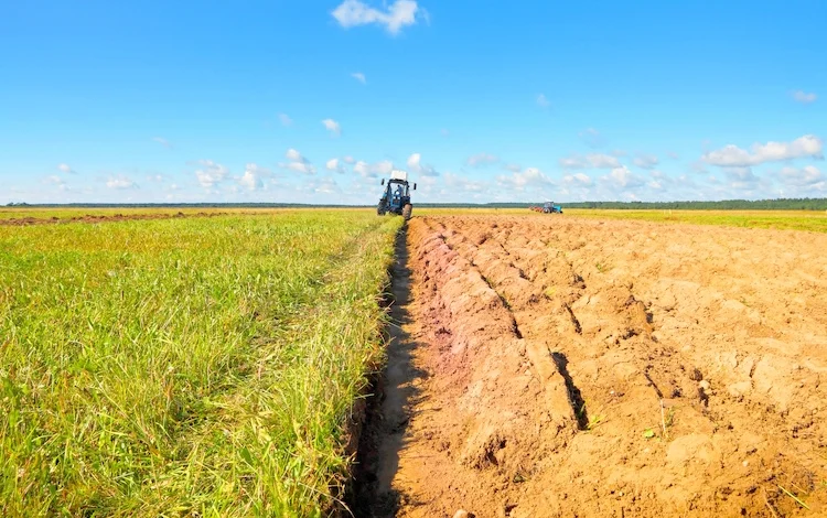 Agricoltura, i controlli dell’Ispettorato del lavoro: “A Siena ispezioni per 150 aziende, una su due non è regola”