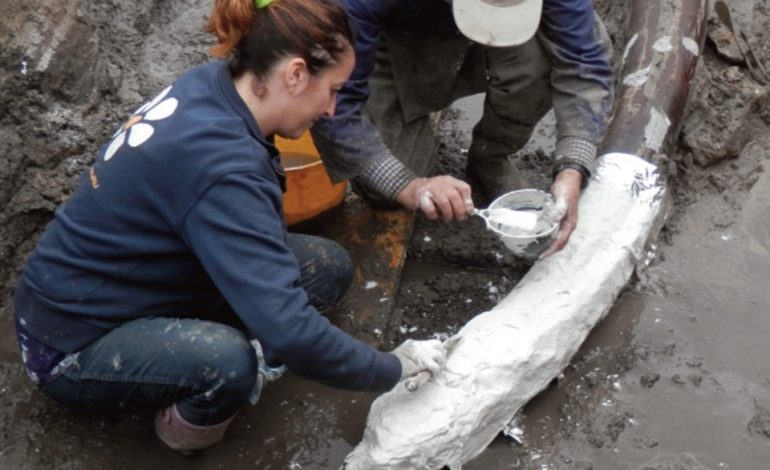 Cosa ci raccontano le nuove scoperte a San Casciano dei Bagni? Se ne parla il 17 dicembre in un incontro al Museo Archeologico Nazionale di Firenze