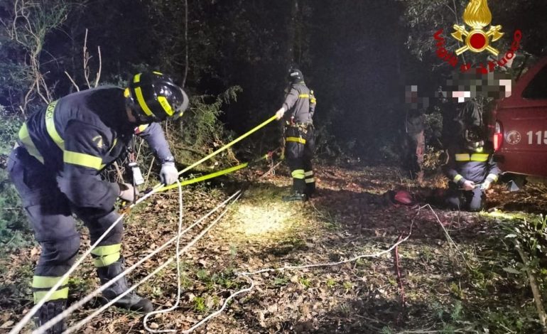 Asciano: Vigili del Fuoco SAF in azione per salvare un cane precipitato da 10 metri