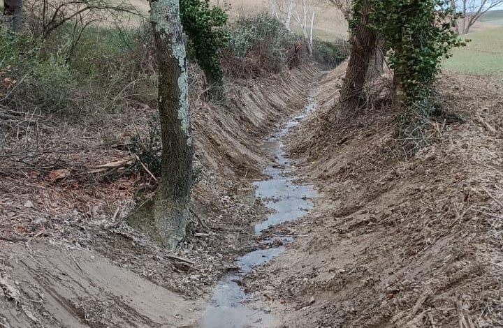 Manutenzione del Borro Meleta ad Asciano: un intervento per la sicurezza idraulica e la tutela ambientale