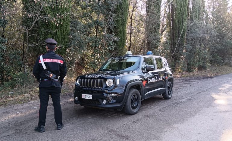 Vagliagli, smantellato bivacco di spacciatori nel bosco