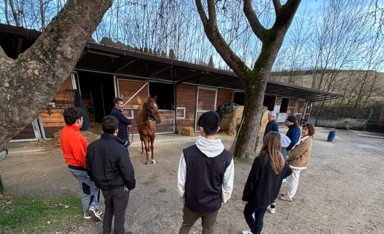 Il Comune di Siena mette a disposizione Pian delle Fornaci per i ragazzi del Ricasoli