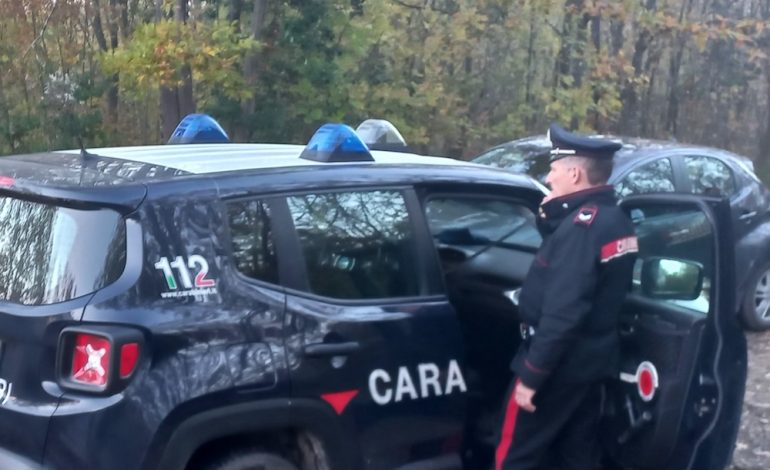 San Gimignano, operazione antidroga nei boschi: smantellato bivacco, denunciato un uomo